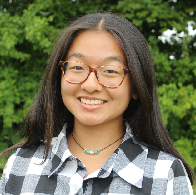 Asian female dental professional