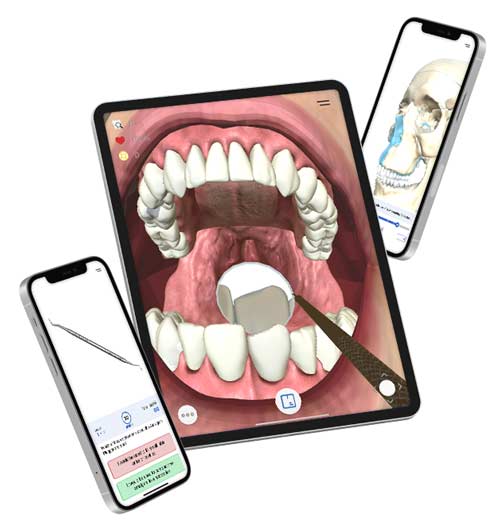 MicrosoftTeams-image (43)